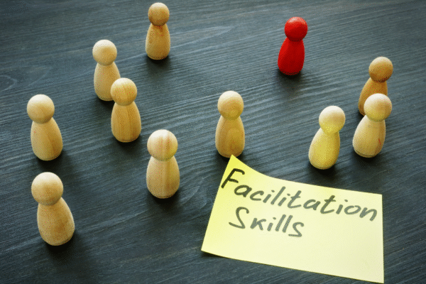Facilitation Skills (TWK07EO)