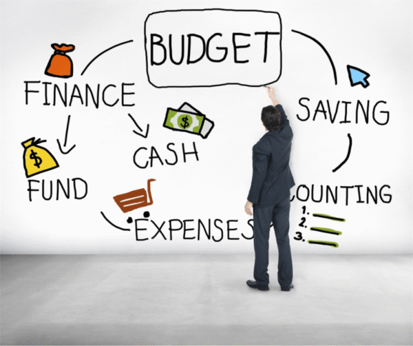 Manage Budget and Financial Plan 2 (PP06EO)